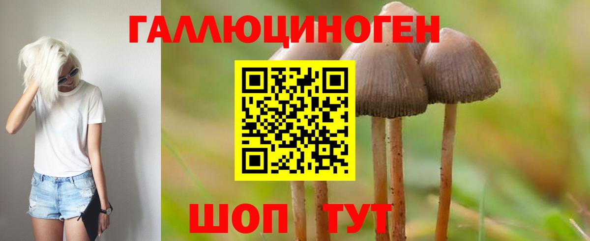 Псилоцибиновые грибы GOLDEN TEACHER  Вход с VPN  Минусинск 